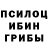Галлюциногенные грибы Cubensis Mutalov Abdumutalibkhon