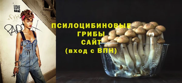 наркотики Белокуриха