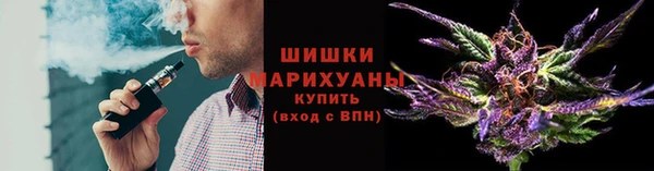 PSILOCYBIN Богородицк