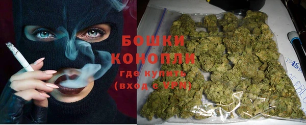 PSILOCYBIN Богородицк