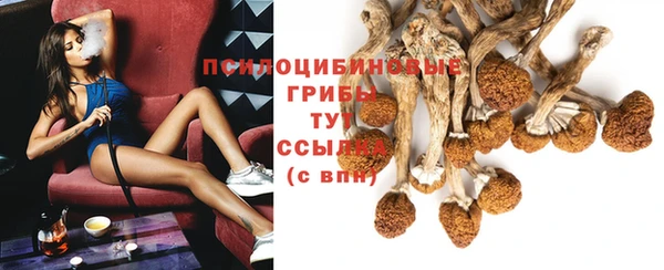 mdpv Белоозёрский