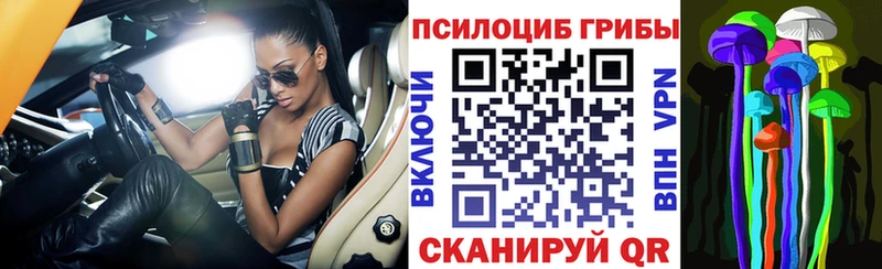 ссылка на мегу онион  Берёзовский  Псилоцибиновые грибы GOLDEN TEACHER 